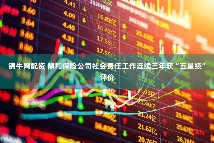 锦牛网配资 鼎和保险公司社会责任工作连续三年获“五星级”评价