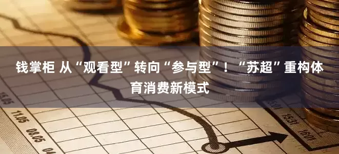 钱掌柜 从“观看型”转向“参与型”！“苏超”重构体育消费新模式