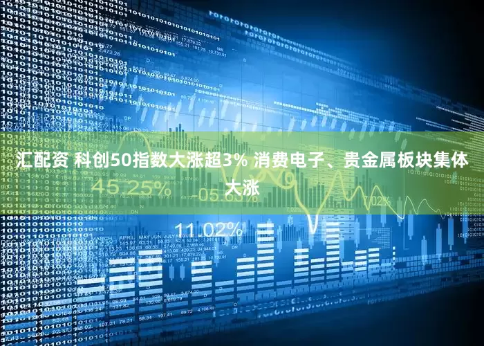 汇配资 科创50指数大涨超3% 消费电子、贵金属板块集体大涨